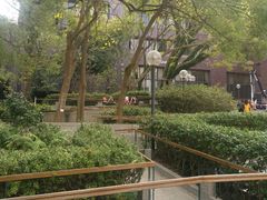 -香港大学