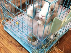 大堂-志龙皇冠吃货椰子铺