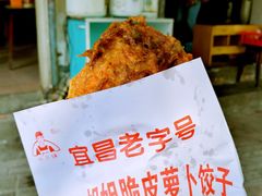 -半月镰胡姐脆皮萝卜饺子