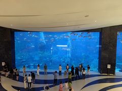 -三亚亚特兰蒂斯度假区