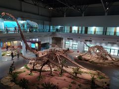 -自贡恐龙博物馆