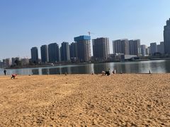 -金沙湖公园