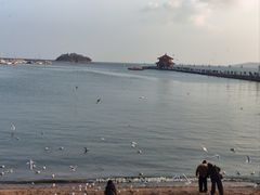 -青岛海滨风景区