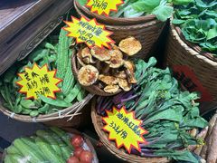 -单家老院·院子里的青岛菜(沙子口店)