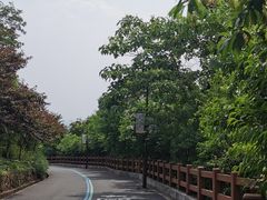 -杭州半山国家森林公园