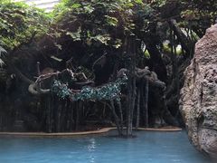-龙达温泉生态城