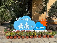 -云南民族村