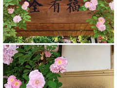 -全有福烙锅店小院