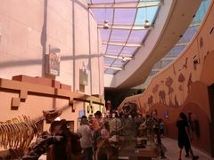 -陕西自然博物馆