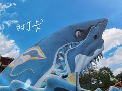 -上海海昌海洋公园
