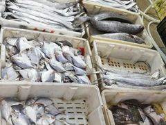 -芦潮港集贸市场