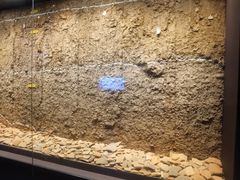 -盘龙城国家考古遗址公园