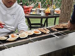 -尚庄度假村·庭台树下·户外烧烤·团建CS·轰趴营地(上庄水库店)