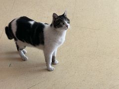 -顺峰顺水顺德菜(龙华店)