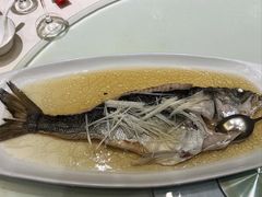 秘制滑海鲈鱼-国惠大酒楼(宝龙店)