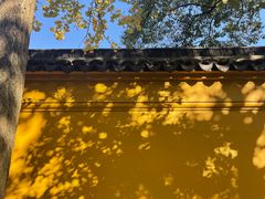 -西园戒幢律寺