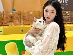 -帕帕拉兹宠物(亚洲旗舰店)