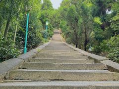 -长沙黑麋峰国家森林公园