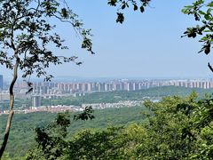-紫金山山顶公园