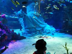 -沈阳海洋探索中心