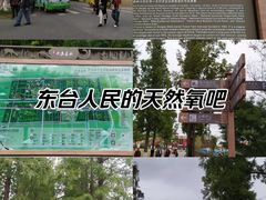 -黄海国家森林公园