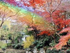 -秋霞圃