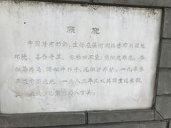 -北京麋鹿生态实验中心