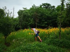 -盘龙城国家考古遗址公园