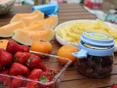 -上海共青森林公园