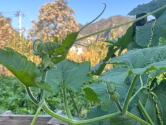 -百里峡七彩艺术小镇