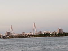 -万绿园