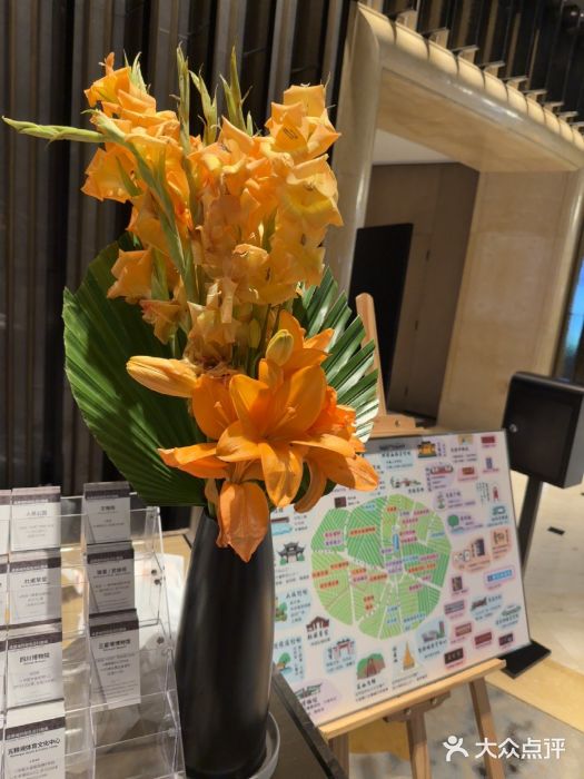 成都天府丽都喜来登饭店图片