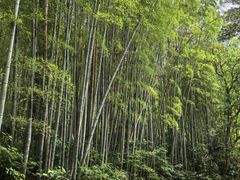 -杭州黄龙洞