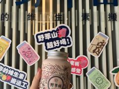-野萃山·潮汕厚果汁(十亩地店)