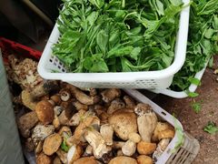 -茶马古道·野生菌清汤黄牛肉(沙溪店)