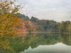 -王借岗森林公园