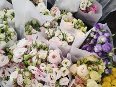 -秦美花卉(天朗·莱茵小城2期店)