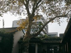 -鲤院·新中式美学·庭院餐厅(夫子庙店)