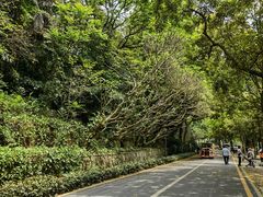 -星湖旅游景区七星岩