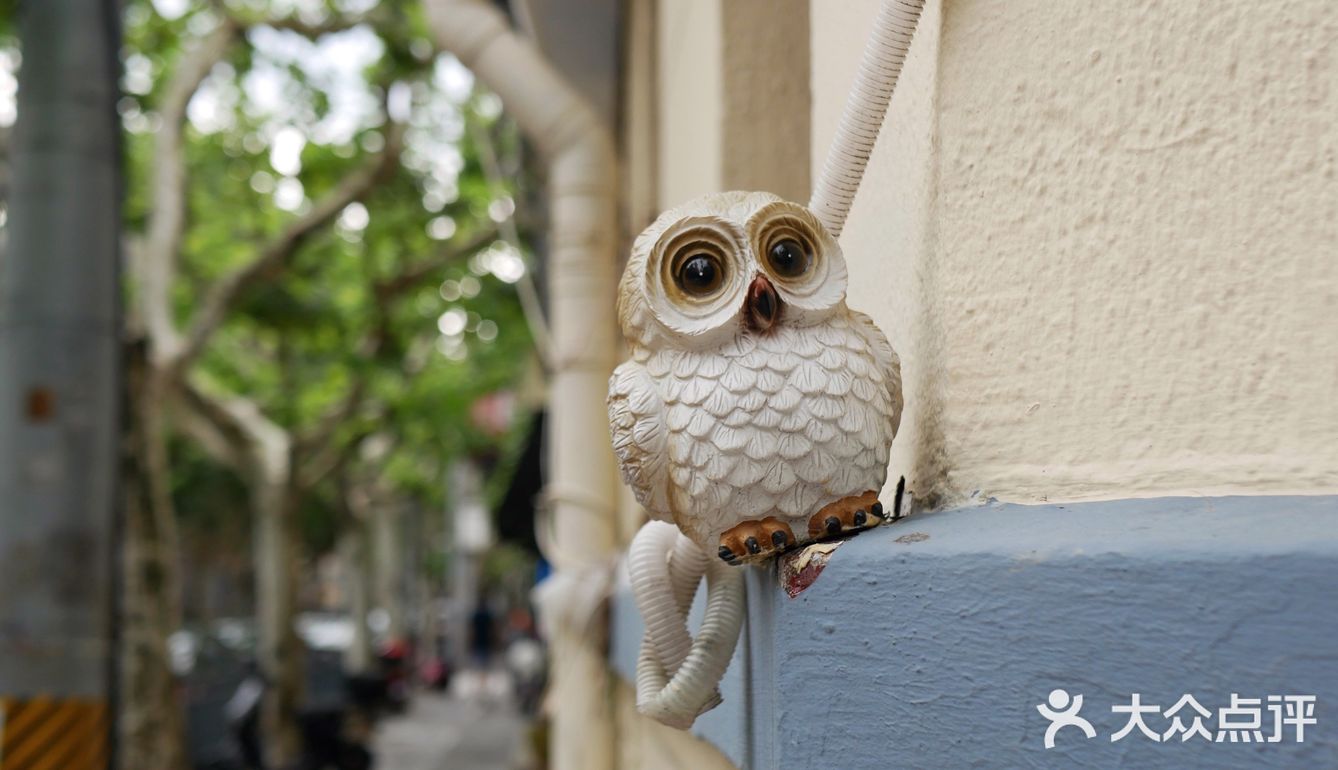 窗台上的小确幸🐇🦉🐌🌿🌹