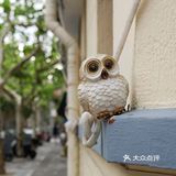 窗台上的小确幸🐇🦉🐌🌿🌹