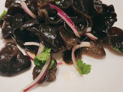 -蝎王府羊蝎子(西直门店)