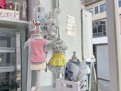 -BABYDOG宝贝狗宠物乐园(欧洲城店)