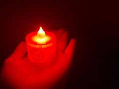 -长藤鬼校(龙翔店)