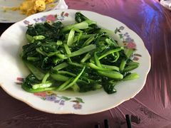 -青浦采草莓天天草莓园