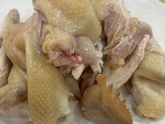 手撕鸡-蛇平饭店(明园路店)