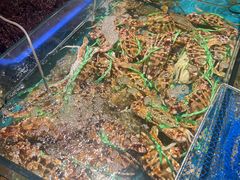 -拉完海鲜大排档(温岭店)