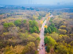 -盘龙城国家考古遗址公园