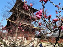 -广富林郊野公园