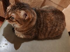 -H立方实景剧情密室(天河旗舰店)